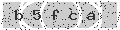 verify code