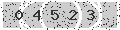 verify code