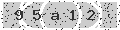 verify code