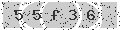 verify code