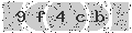 verify code