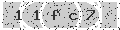verify code