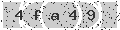 verify code