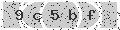 verify code