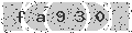 verify code