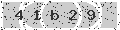 verify code