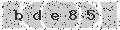 verify code