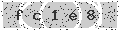 verify code