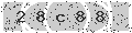 verify code