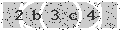 verify code
