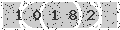 verify code