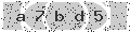 verify code