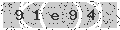 verify code