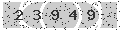 verify code