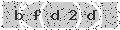 verify code