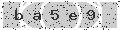 verify code