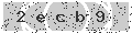 verify code