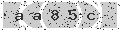 verify code