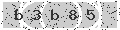 verify code