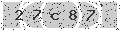 verify code