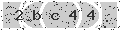 verify code