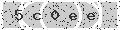 verify code