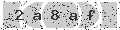 verify code