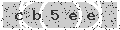 verify code
