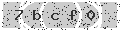 verify code