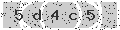 verify code