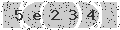 verify code