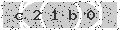 verify code