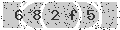 verify code
