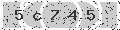 verify code