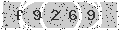 verify code