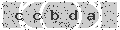 verify code