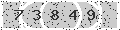verify code