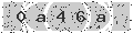 verify code