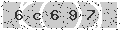 verify code
