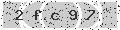 verify code