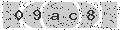 verify code