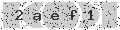 verify code