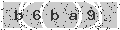 verify code