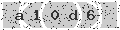 verify code