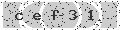 verify code