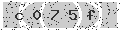 verify code