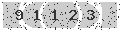 verify code
