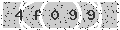 verify code