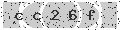 verify code