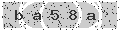 verify code